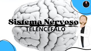 TELENCÉFALO - Cérebro, hemisférios cerebrais, áreas corticais e funções corticais de cada lobo