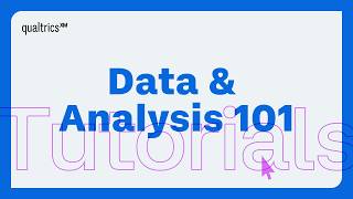 How to Use Filters in Qualtrics Data and Analysis