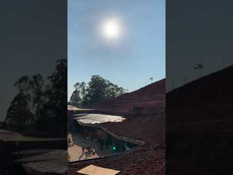 GAIA CONNECTION 09/2019