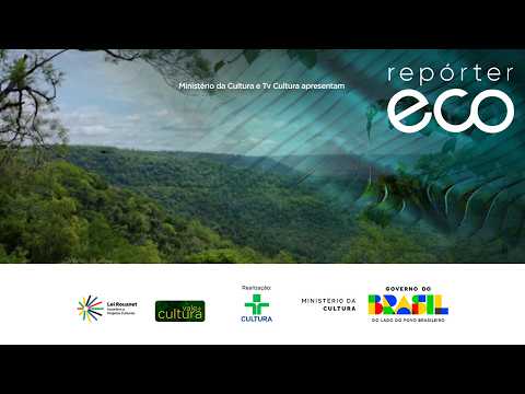 ECO REPORTER | 01/03/2026