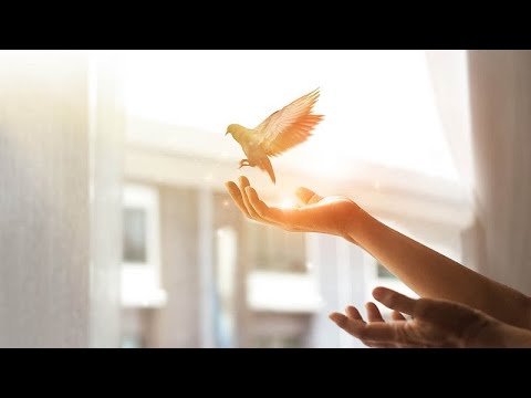 You must be born again...  William Branham (54-0512 - The Seven Church Ages)