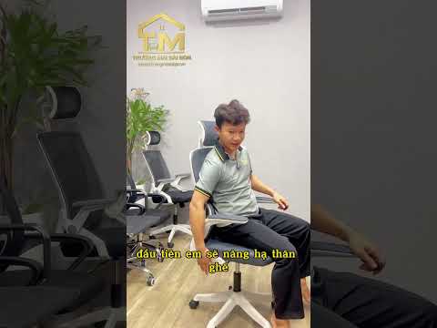 Ghế Công Thái Học Gật Gù Thư Giãn - CTH9