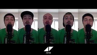 Wake Me Up - Tribute to Avicii (Home Free Cover)