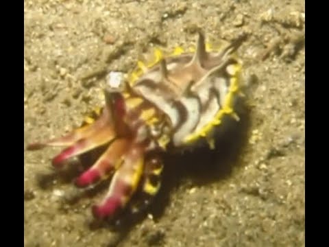 Philippines 24 04 23