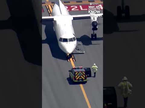 Plane forced to land after pilot suffers medical episode mid-air #news #aviation #travel