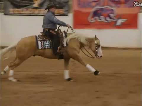 Discover why Dany Tremblay's circles make other trainers jealous