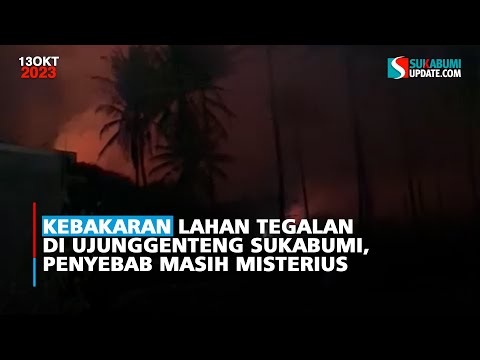 Kebakaran Lahan Tegalan di Ujunggenteng Sukabumi, Penyebab Masih Misterius