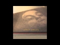 HERBERT -  I Hadn't Known (I Only Heard) -  Matthew Herbert