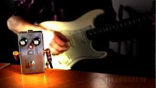 Video thumbnail for El Musico Loco: WEE BEAVER by Brett Kingman