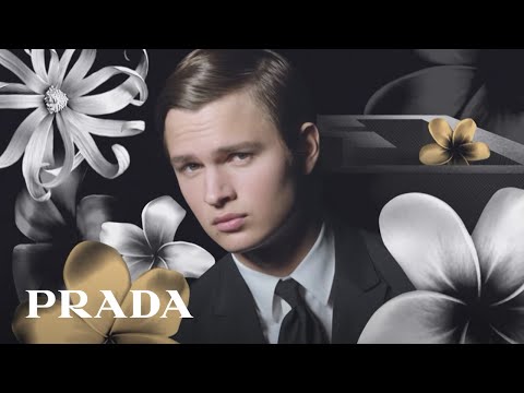 Миниатюра изображения товара Парфюмерная вода Prada L'Homme Intense (100мл)