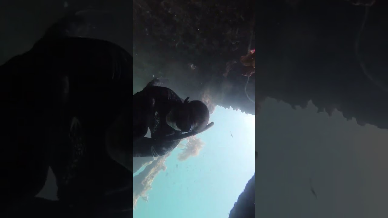 YouTube Short thumbnail