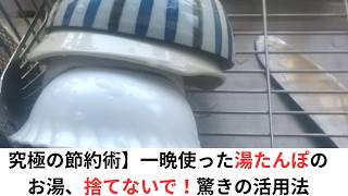 究極の節約術】一晩使った湯たんぽのお湯、捨てないで！驚きの活用法