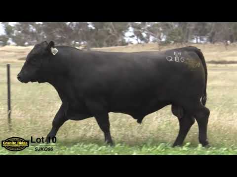 GRANITE RIDGE QUINCY Q86