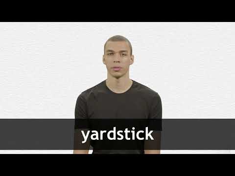 What is Yardstick? Meaning, Definition, Facts, Example