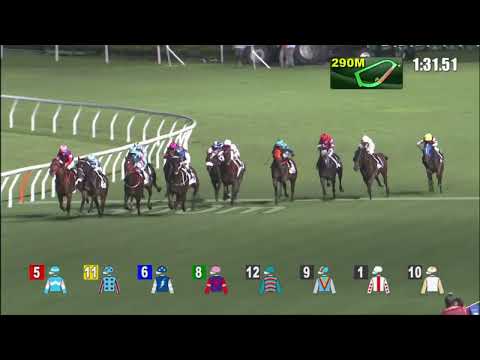 13/7/2022 (823) Super Oasis - Matthew Chadwick