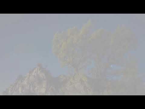 Profesionali skalbimo mašina Whirlpool AWG 1114SD video