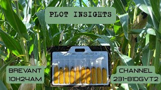 Plot Insights 213-81DGVT2 vs. Brevant 10H24AM