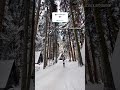 ️ ️ Winter Winterwonderland Wintervibes Bulgaria Moodygrams Winterspecial Travelvlog