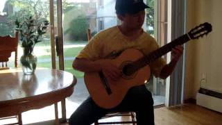 Classical guitar solo- Willow