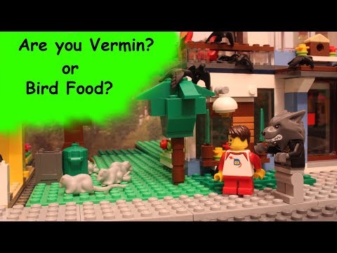 Why so Many Crows? - Dubtown Bite Size ep02