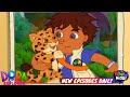 Dora The Explorer Diego To The Rescue Akili Kids