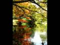 sometimes in autumn