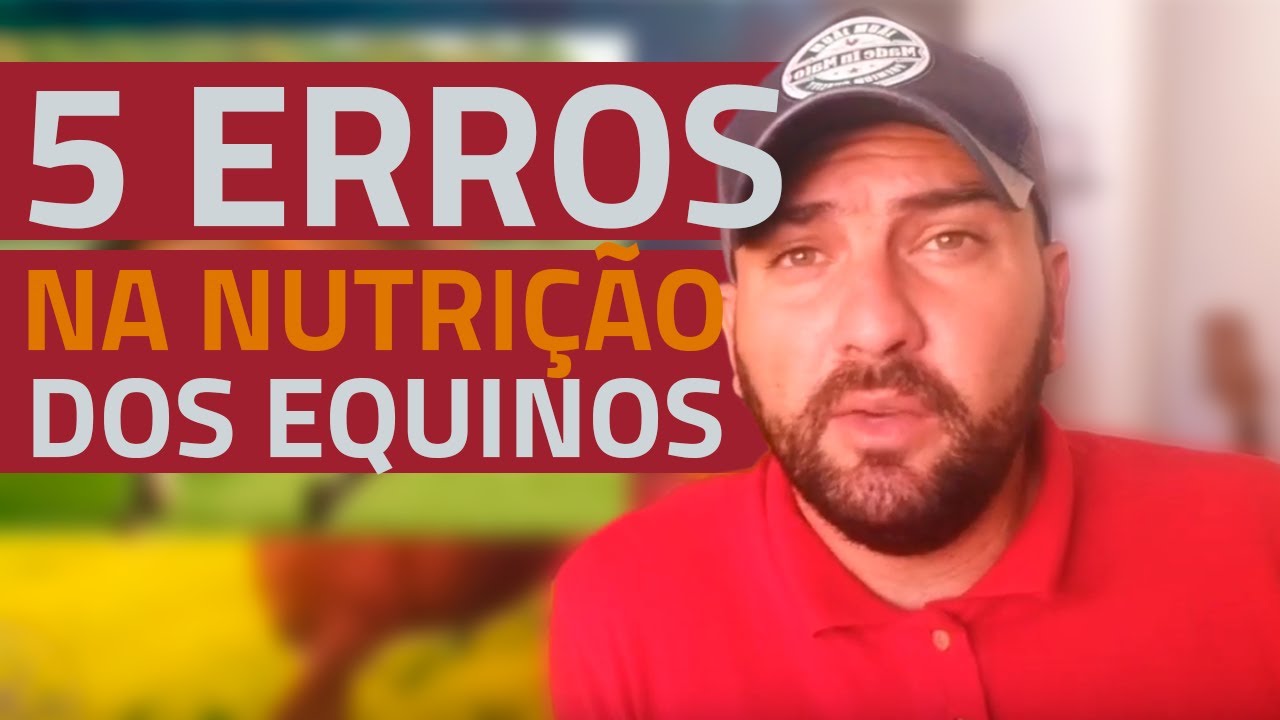 TOP 5 ERROS NA NUTRIÇÃO DOS EQUINOS. NÃO COMETA ESSES ERROS!!!