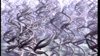 Pantera - Planet Caravan