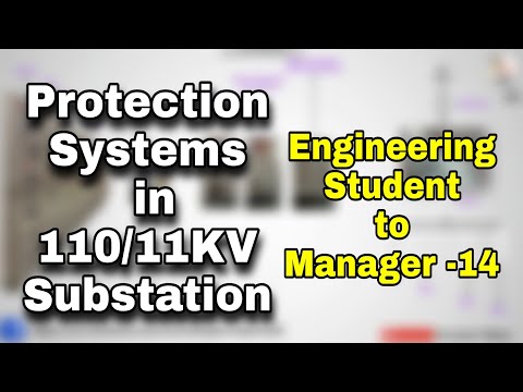 How to become a manager from Student Basics about the Industry