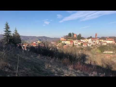 Natura primaverile a Montaldo Torinese