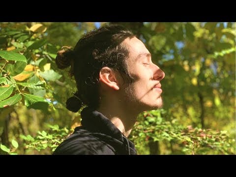 download lagu mp3 mp4 Energetic Attraction, download lagu Energetic Attraction gratis, unduh video klip Energetic Attraction