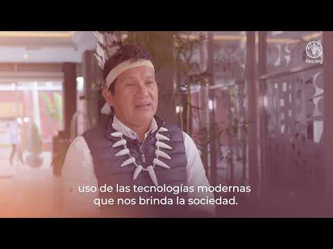 Impulsando una Comunidad de Práctica sobre monitoreo forestal y financiamiento climático indígena