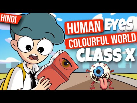 Human eye and the colourful world class 10 ( animation ) in 30 minutes - one shot￼