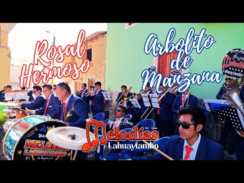 Banda Show Melodías Lahuaytambo 🔥 ▶ Mix Huayno - Rosal Hermoso - Arbolito de Manzana