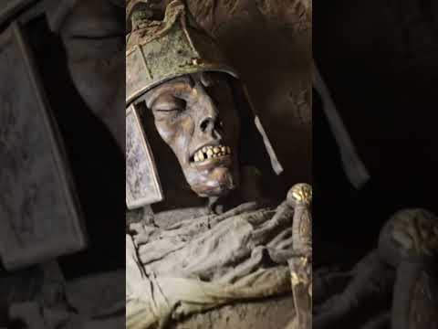 Interesting Discovery During a Treasure Hunt