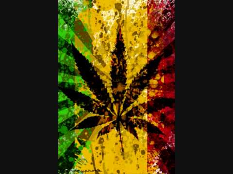 Elephant Man feat. Mr. Vegas - Bun it