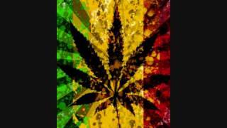 Elephant Man feat. Mr. Vegas - Bun it