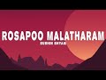 Sushin Shyam - Rosapoo Malatharam (Lyrics)