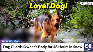 Dog Guards Owner's Body for 48 Hours in Snow