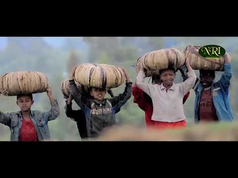 Tariku Ganksi - ft Jeli Gamo - Saro Gamo - New Ethiopian Music 2022 (Official Video)