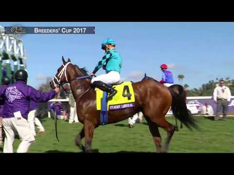 Stormy Liberal Wins Breeders' Cup Turf Sprint Grade I Stakes Race 5 at Del Mar 11/04/17