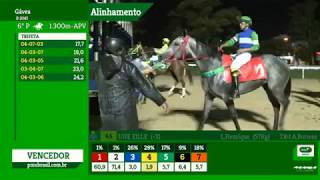 Turfe - terça - 06.02