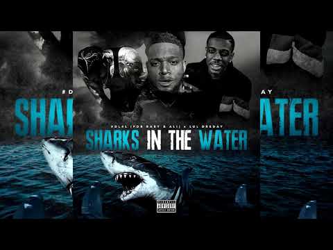 #DL4L (FDR Baby & Ali) x Lul DreDay - Sharks In Da Water (p. Lil O) [Exclusive]