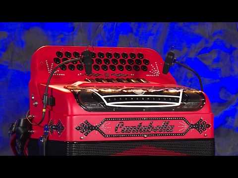 DPA d:vote CORE 4099 w/AC4099 for accordions