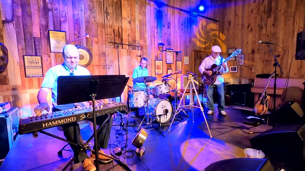 Promotional video thumbnail 4 for Devon Kurzweil Trio