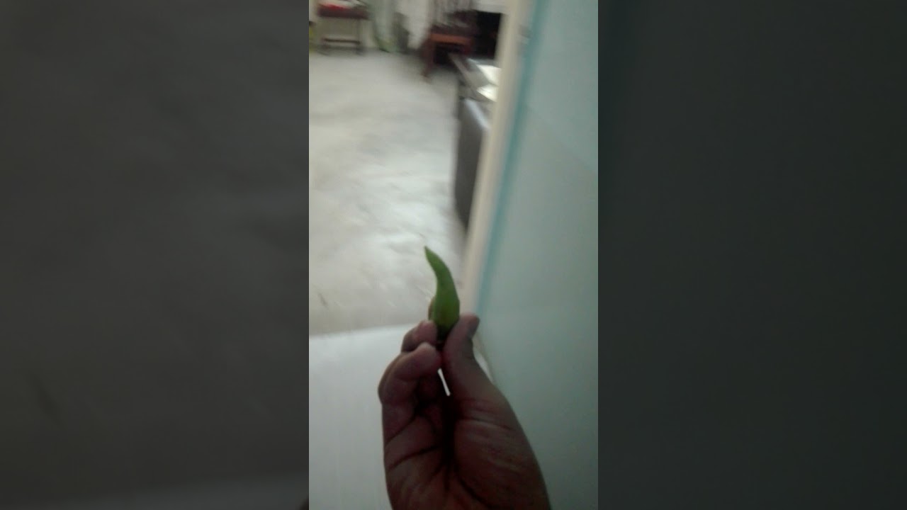 jak się ZABIĆ w 5 sekund ŁATWO