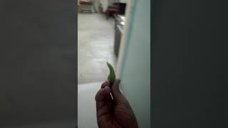 how to KILL yourself in 5 seconds EASY