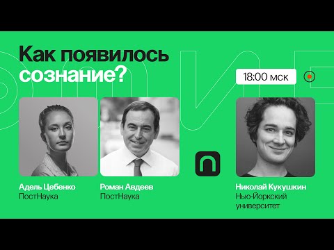 В своем уме: как сформировались мышление, память, разум? / Николай Кукушкин на ПостНауке