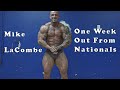 Bodybuilder Video Of Mike LaCombe Look Nuts Week Out From Nationals