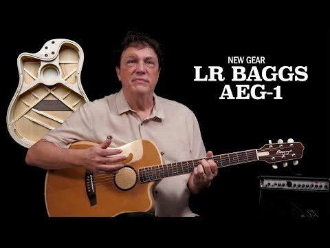 New Gear | LR Baggs AEG 1 Guitar | Innovative Construction and a Finely Tuned Pickup System